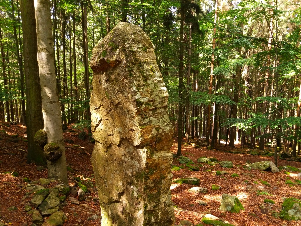 Vztyčený kámen na Velkém Blaníku u Veřejové skály